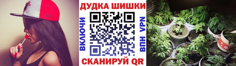 купить наркотики цена  Орехово-Зуево  МАРИХУАНА Ganja 